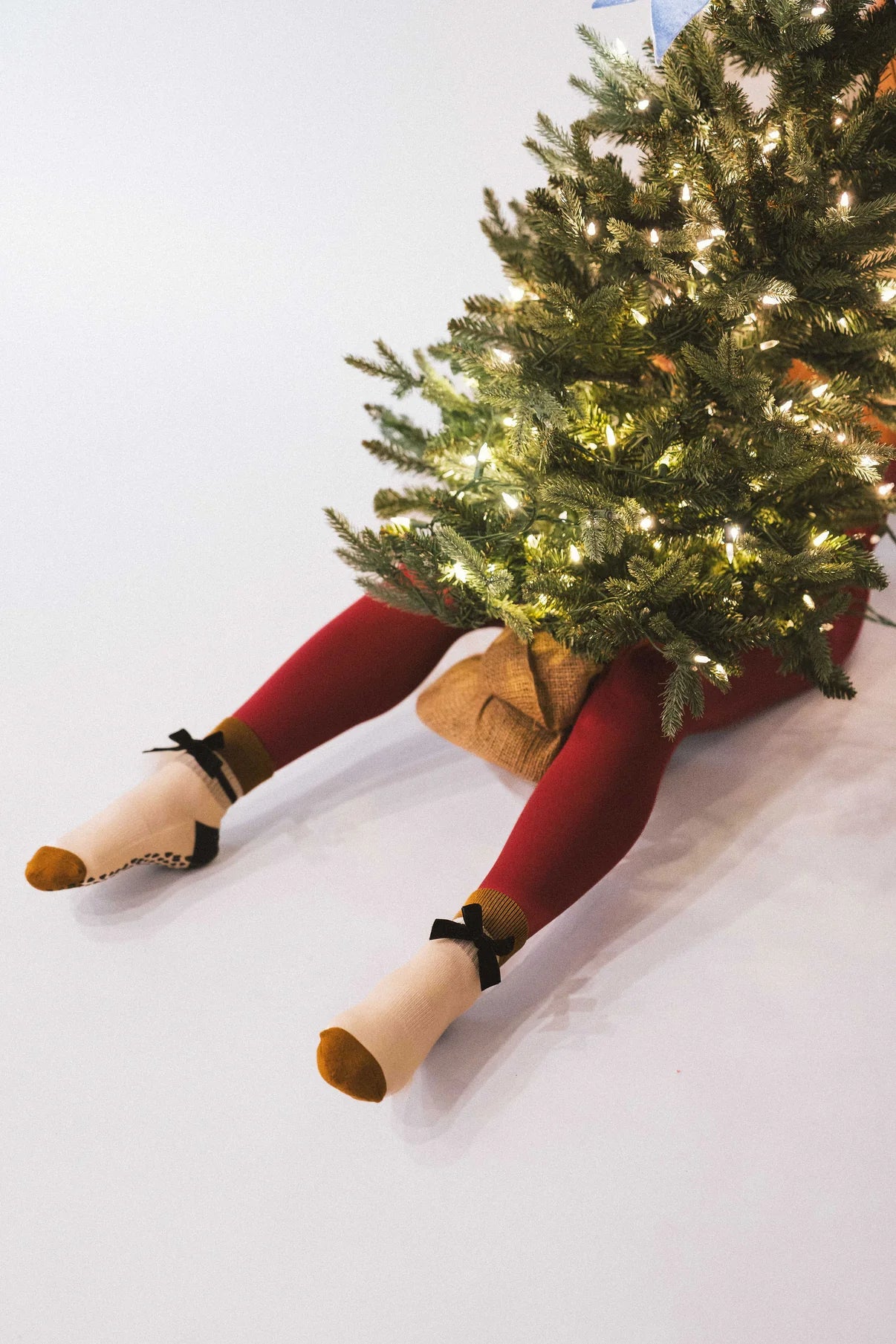 Velour Bow Luxe Collection